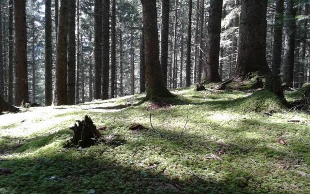 Ferienwohnung Peter Egger
