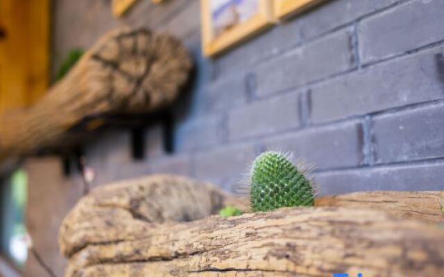 Wuxi Dayin Mountain Residence Garden Homestay