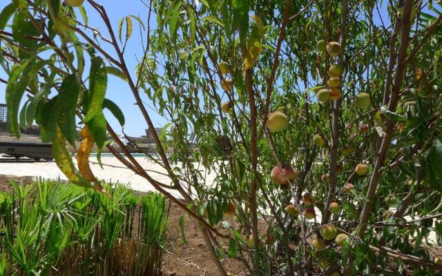 Finca Higueron