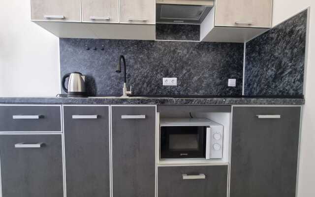 Delyuks na Pribrezhnoy 10 Deluxe Apartment