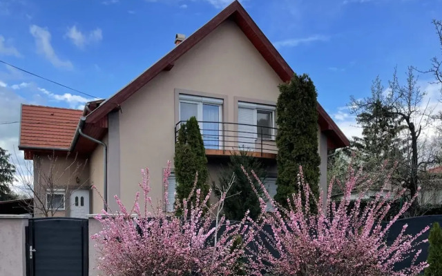 Lavender Apartment