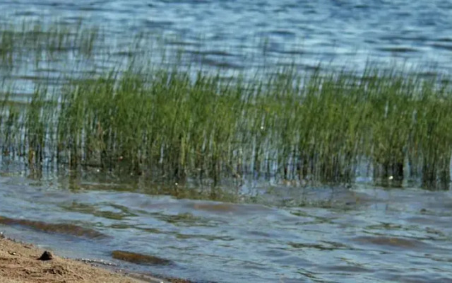 Kuntoutuskeskus Apila