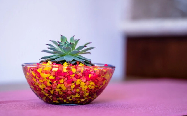 Hotel Boutique Mardeka