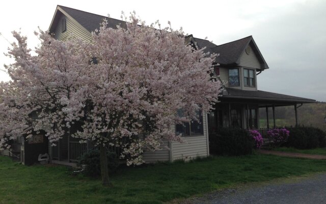 The Dragonfly Bed and Breakfast