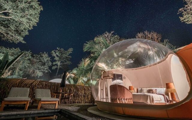 Satori The Bubble Experience Lodge