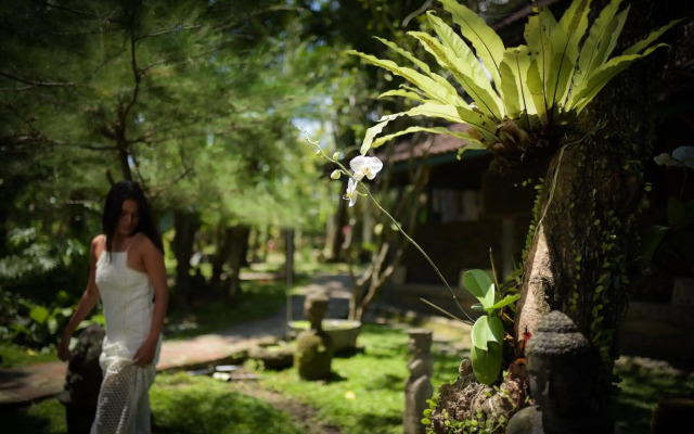 Taman Nauli Bed & Breakfast