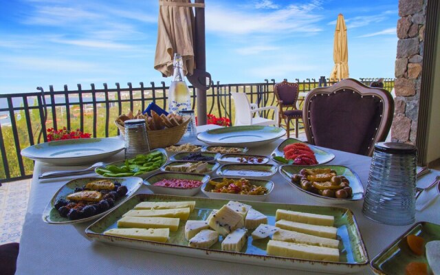 Assos Longevity Hotel