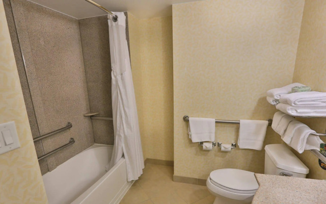 Holiday Inn Express & Suites Asheville Downtown by IHG
