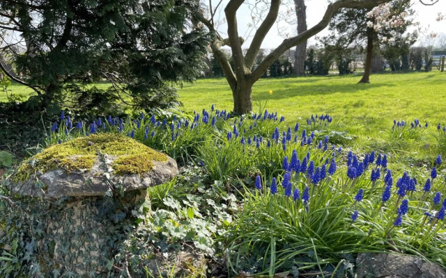 Hill Farm