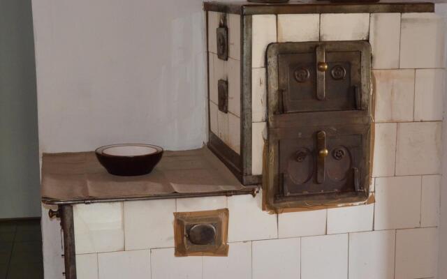Holiday Home in Petrohrad With Private Pool