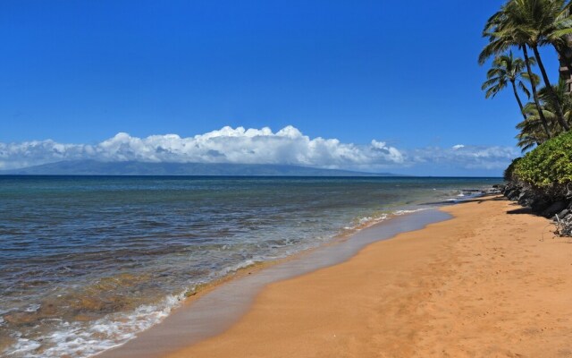 Maui Kai 601 by RedAwning