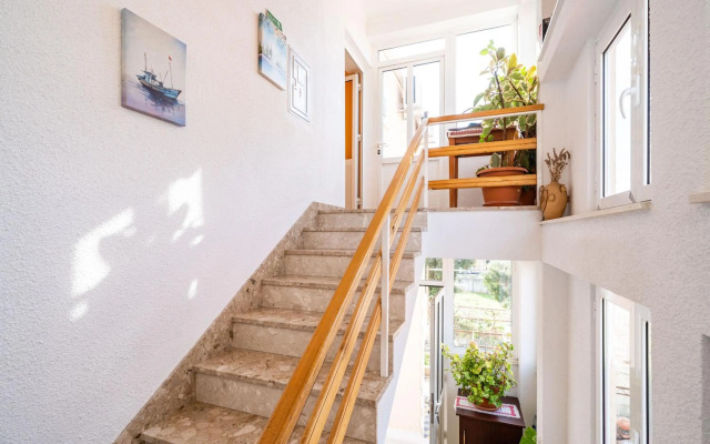 Apartmani Niki ZVEKOVICA