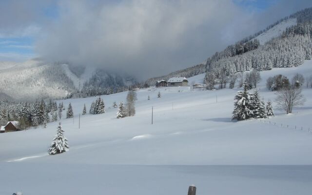 Spacious Apartment near Ski Area in Pusterwald