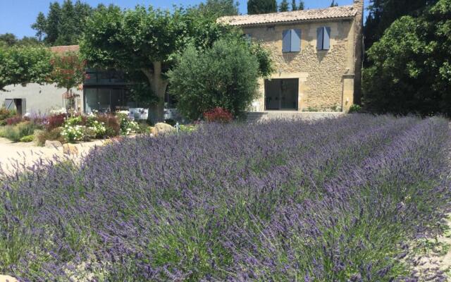 Mas provençal avec piscine chauffée, en campagne de Salon de Provence, 8 personnes - LS7-351 L'IDOLO