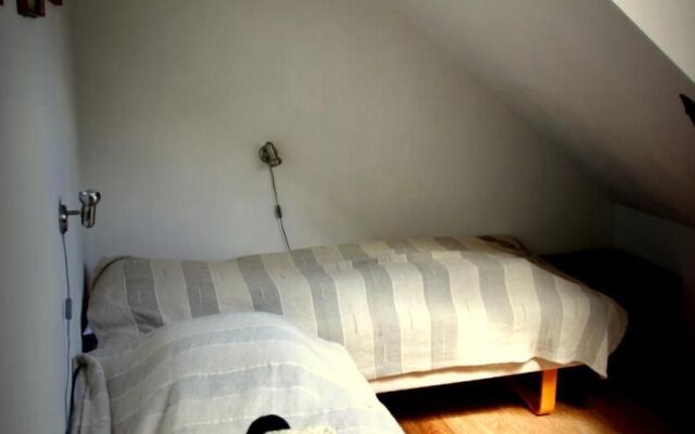 Stutteri Skandi Hest