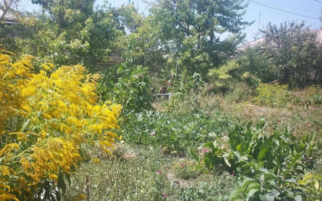 Barseghyan's Guest House