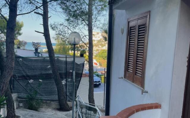 Residence Montepucci