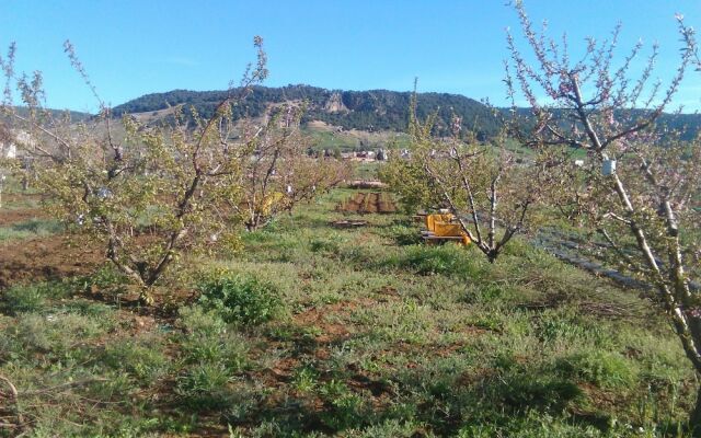 Les Jardins D'Azrou