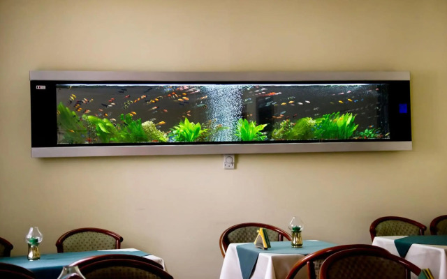 Hotel Brasov