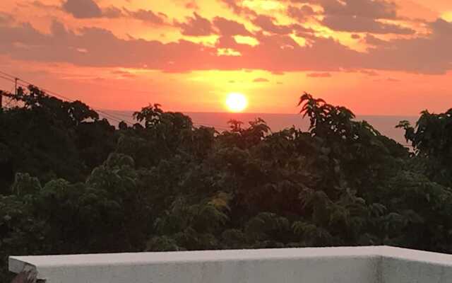 Yakushima Shikinoyado Onoaida