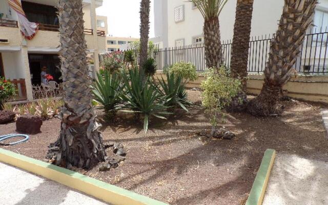 Los Juncos 403 Playa del Inglés