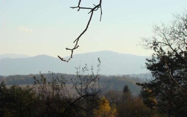 Noclegi "Marek i Karolina"