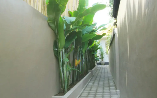 Rusty Seminyak