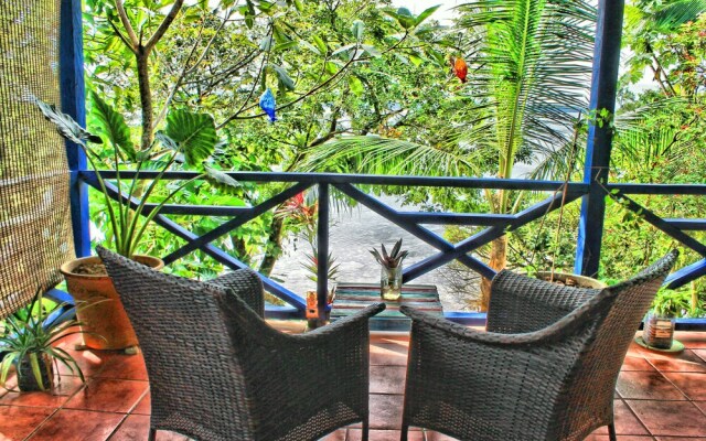 Mosana reef garden B&B
