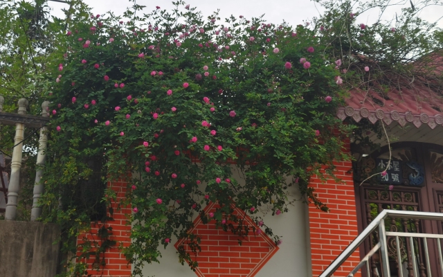 Floral Hotel·Nanjing Youjianshan Homestay (Ginkgo Lake)