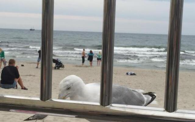 Apartament 201 W Hotelu Diva