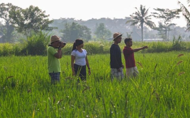 Anulekha Resort and Villa
