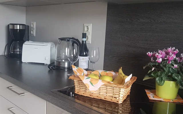 Flat in Medebach Near the ski Area