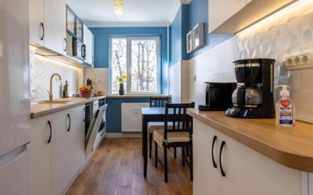 Luxury Cosy Apartment Central- Unirii Square/Old Town Adela Accommodation