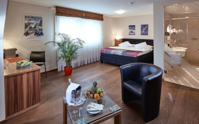 Hotel Ambassador Brig