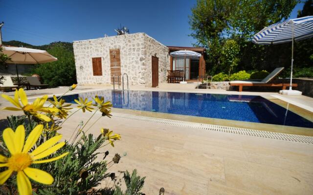 Villa Karya by Helaltatilvillalari