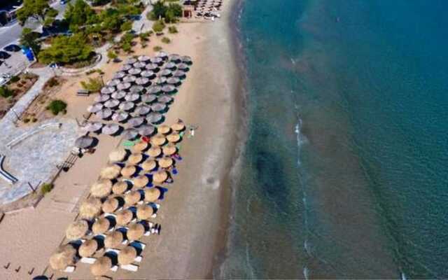 4 Seasons Luxury Suites & House Near Airport