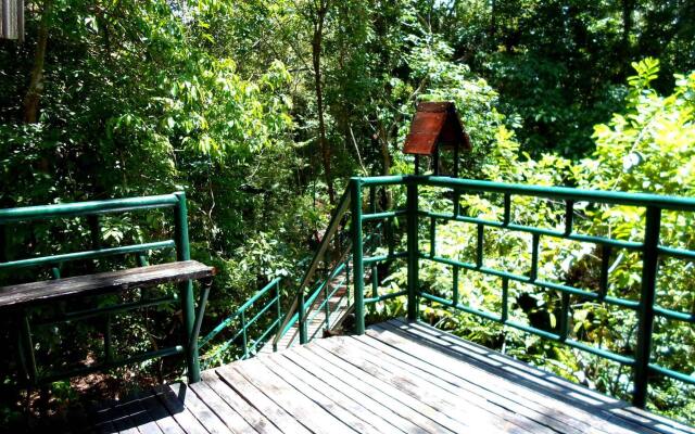 Khao Sok Tree House