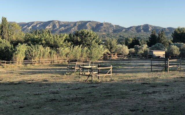 Les Acanthes Sud&Ouest