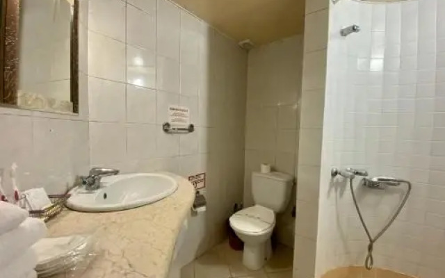 Odessa Old City Apartment