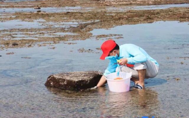 Weidu Inn Weizhou Island