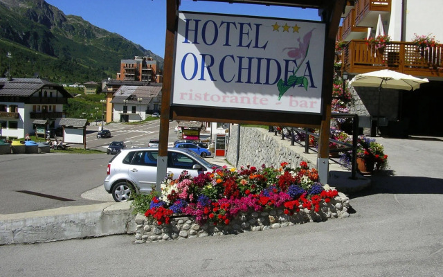 Hotel Orchidea