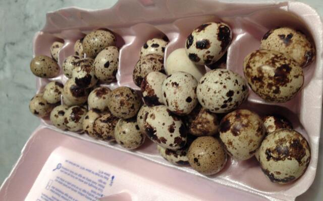 Silver Fern Bed and Breakfast