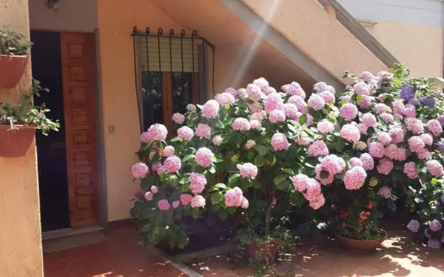 Casa Vacanze Manciano