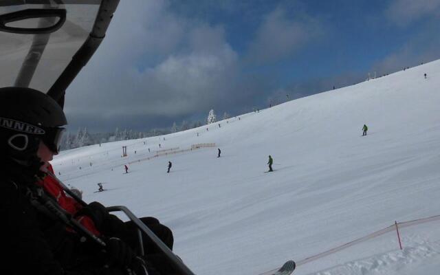 Steiert Panorama Apartments Todtnau