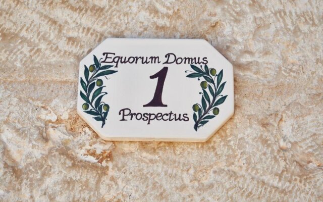 Equorum Prospectus 1 - OSTUNI CENTRO - Guest House