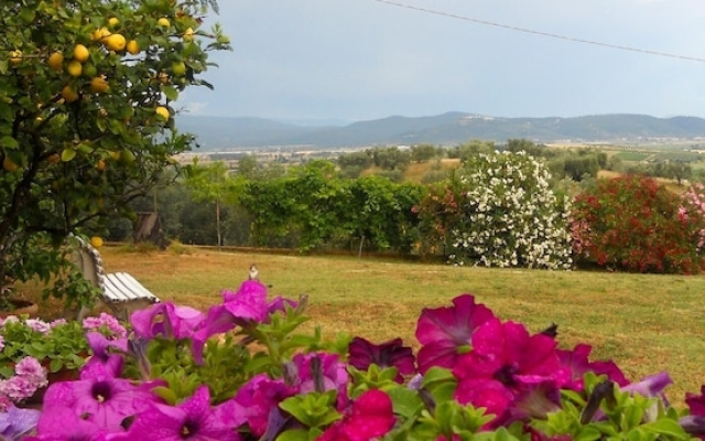 Agriturismo Arnaio