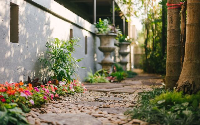 Cozy Inn Chiang Mai