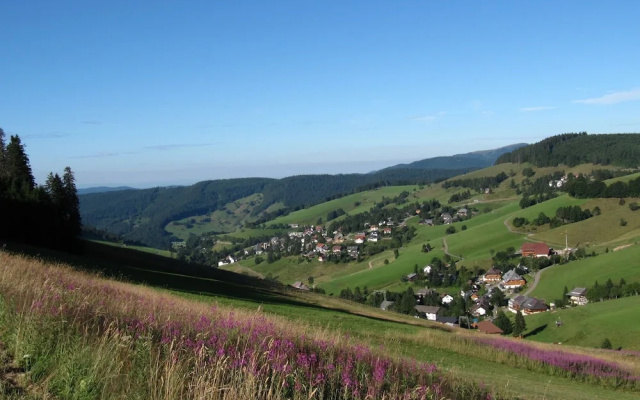 Luxurious Apartment in Todtnauberg With Terrace