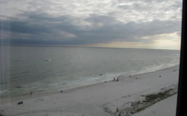 Tern Key Realty & Rentals