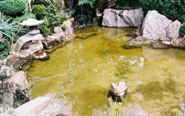 Oscar Inn Eco Resort